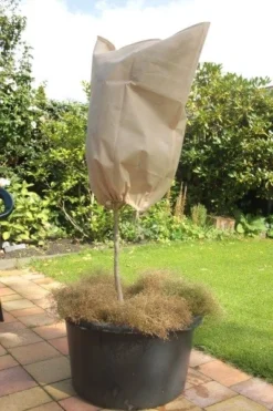 CUPA Kuipplantenbeschermhoes 1,2x1,8m - 2st - Vorstbescherming -Tuinieren Winkel 9042250 cupa img 8689 1 1