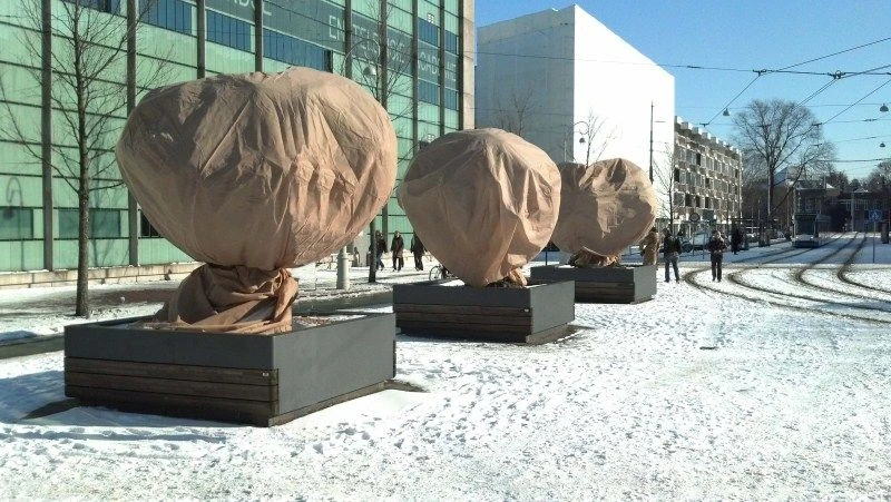 CUPA Kuipplantenbeschermhoes 2,0x2,4m - Vorstbescherming 1 CUPA Kuipplantenbeschermhoes 2,0x2,4m - Vorstbescherming