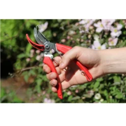 ARS 120DXT Snoeischaar Rozen 9 ARS 120DXT Snoeischaar Rozen -Tuinieren Winkel ars 120dxt snoeischaar rozen