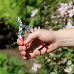 ARS 310-D Oogstschaar - Extra Gebogen -Tuinieren Winkel ars 310 d snoeischaar 4965280660909