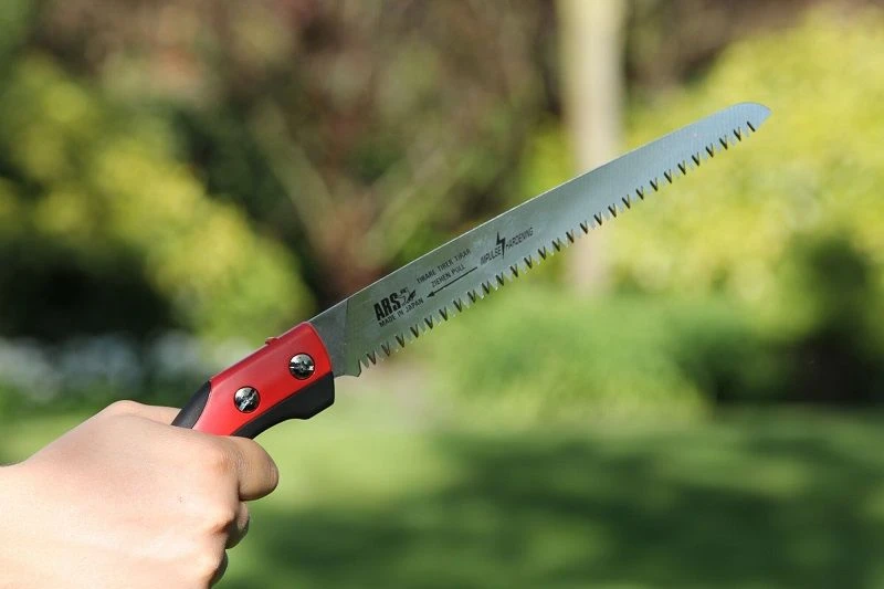 ARS CAM-24PRO Snoeizaag 2 ARS CAM-24PRO Snoeizaag - Afbeelding 2