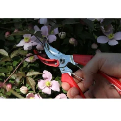 ARS 120DXT Snoeischaar Rozen 10 ARS 120DXT Snoeischaar Rozen -Tuinieren Winkel ars120dxt rozen snoeischaar