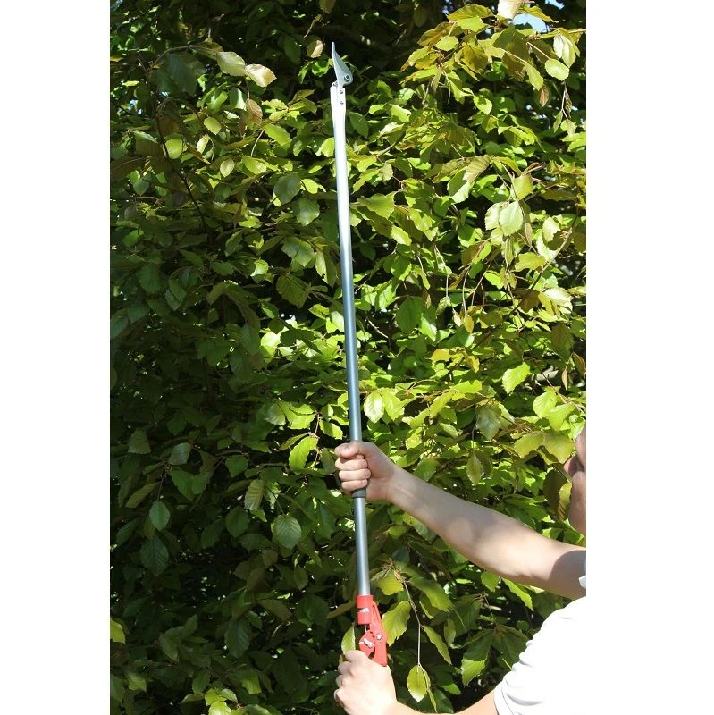 ARS 180-1.2 Langarm Snoeischaar 3 ARS 180-1.2 Langarm Snoeischaar - Afbeelding 3