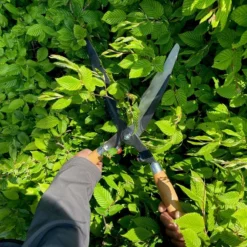 Bahco P57-25-F Heggenschaar -Tuinieren Winkel bahco p57 25 f heggenschaar 17bf23184030b63f