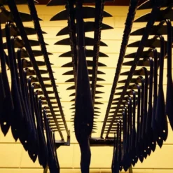 De Wit Hak Halve Maan 14 / 16 / 18 / 20 / 22 Cm Gesmeed - Zonder Steel 17 De Wit Hak Halve Maan 14 / 16 / 18 / 20 / 22 Cm Gesmeed - Zonder Steel -Tuinieren Winkel de wit hak halve maan.ae765d63 1