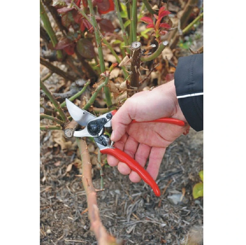 FELCO 11 Snoeischaar 3 FELCO 11 Snoeischaar - Afbeelding 3