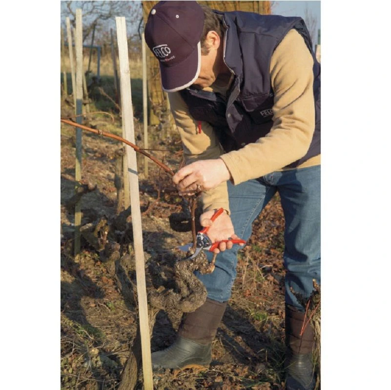 FELCO 11 Snoeischaar 4 FELCO 11 Snoeischaar - Afbeelding 4