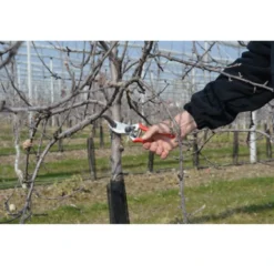 FELCO 2 Snoeischaar -Tuinieren Winkel felco 2 snoeischaar 1063 felco 2 arboriculture