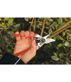 FELCO 6 Snoeischaar -Tuinieren Winkel felco 6 snoeischaar 1063 felco 6 parks and gardens 2011 dsc 4853