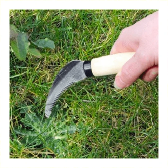 Talen Tools Kantafsteker Compl. Verz. 1 Talen Tools Kantafsteker Compl. Verz.