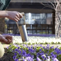 De Wiltfang RHS Bollenpriem, Handmodel -Tuinieren Winkel image 56