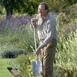 De Wiltfang RHS Graskantensteker