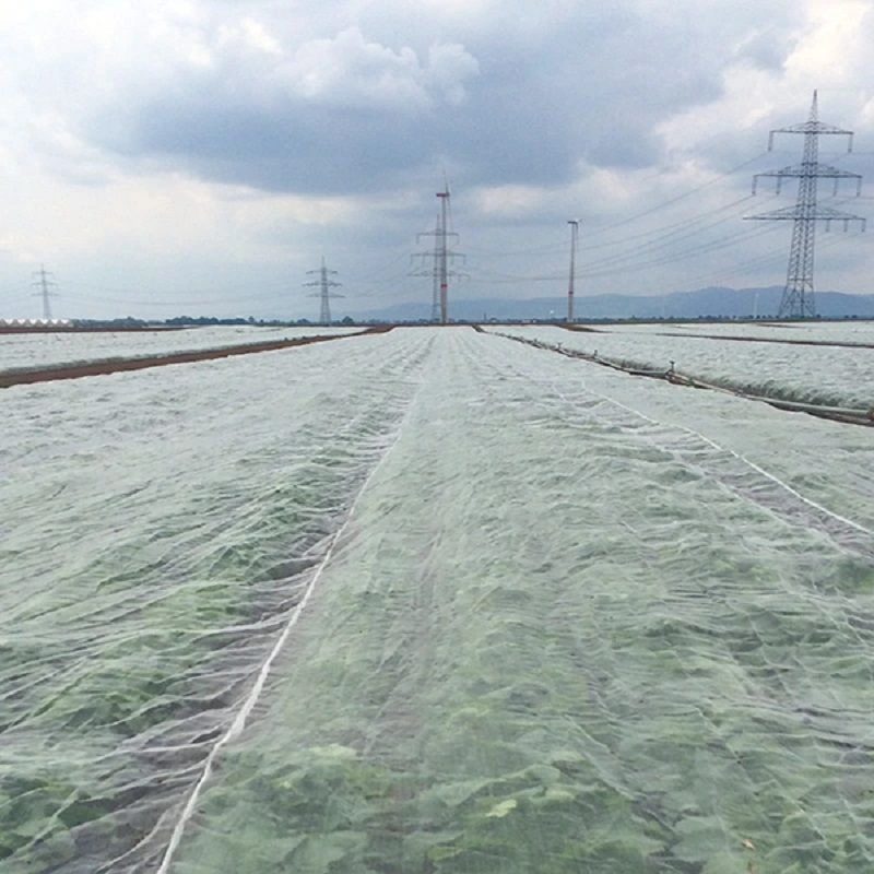 Ornata Plus 135 Koolvliegengaas 2,60x100m 1 Ornata Plus 135 Koolvliegengaas 2,60x100m