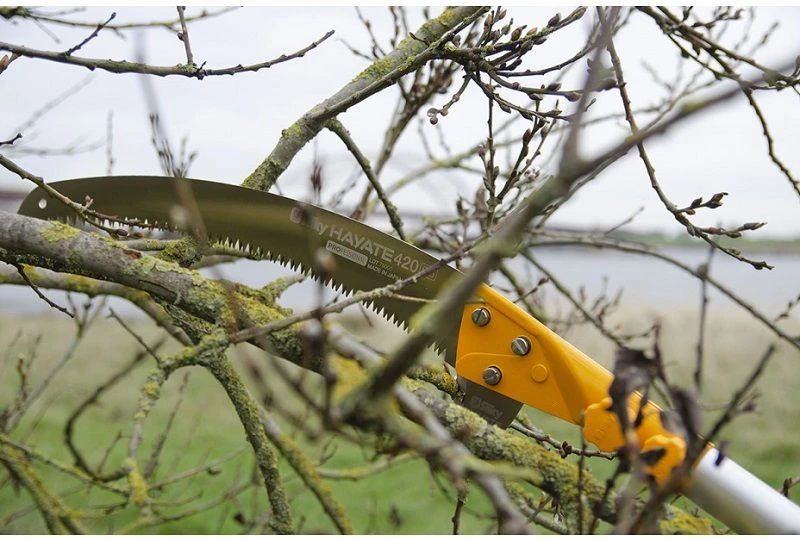 Silky Hayate 5000-6.5 3-delig - Stokzaag Compleet 8 Silky Hayate 5000-6.5 3-delig - Stokzaag Compleet - Afbeelding 8