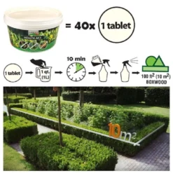 TopBuxus Health-Mix - 100 Tabs - Tegen Buxusschimmel 6 TopBuxus Health-Mix - 100 Tabs - Tegen Buxusschimmel -Tuinieren Winkel topbuxus healthmix tegen buxusschimmel 40 tabletten voor 400m2 2 2