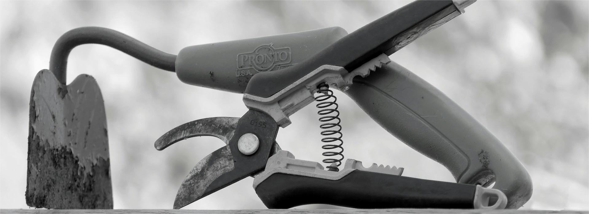 Tuinieren Winkel -Tuinieren Winkel 2